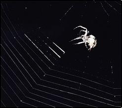 ֣̫˳�Ƽ��ַ���ѧ��Ƶ���㶫�������������ؽ�����Χ�� 43�˱�����...